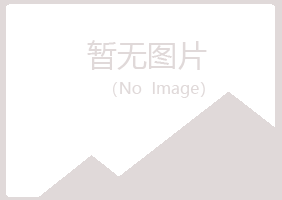 黄陵县山柏咨询有限公司